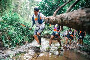 BIB: 
                            <button type="button" onclick="openModal(25375450)" class="btn btn-primary btn-sm float-right btn-popup" data-toggle="modal" data-target=".modal-high-quality">
                        <i class="fas fa-shopping-cart"></i> Add to Cart
                    </button>
                                            <button type="button" onclick="isThisMe(25375450, true)" class="btn btn-success btn-sm float-right btn-popup btn-isme hidden" data-toggle="tooltip" data-placement="bottom" title="นี่คือรูปของคุณใช่ไหม คลิกที่นี่เพื่อเอาเข้าอัลบั้ม">
                        <i class="fas fa-plus"></i> Add to album
                    </button>
                    <button type="button" onclick="isThisMe(25375450, false)" class="btn btn-warning btn-sm float-right btn-popup btn-isnotme hidden">
                        <i class="fas fa-ban"></i> Remove from album
                    </button>